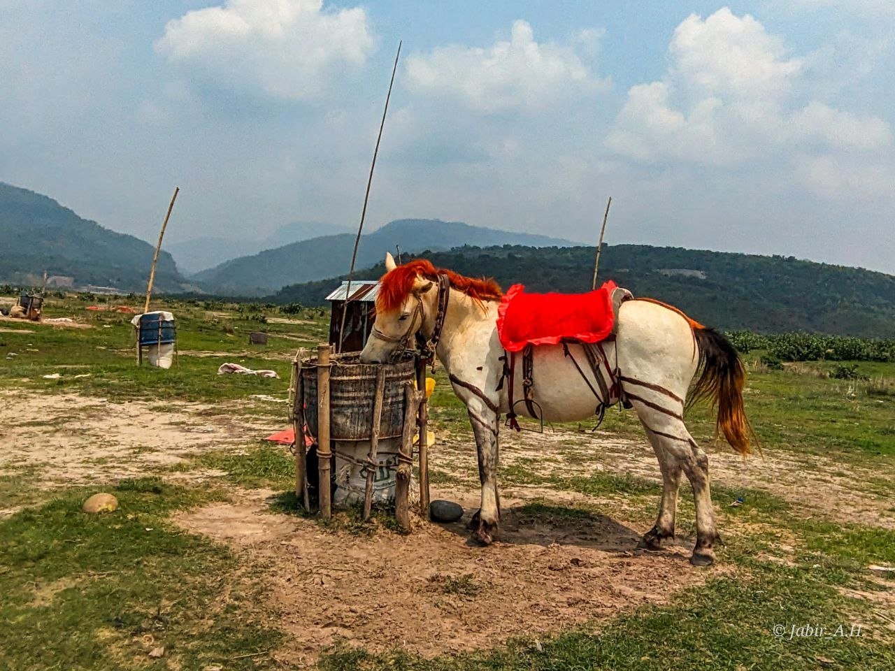 A horse standing at Shadapathor, Sylhet